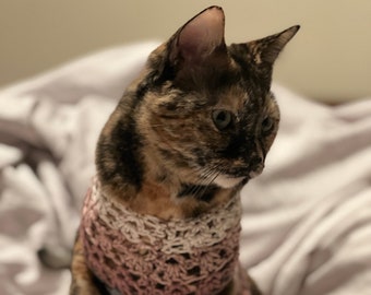 Könnte beinhalten: Eine Schildpattkatze trägt einen rosa, weißen und blauen gehäkelten Pullover und sitzt auf einem weißen Bettlaken.
