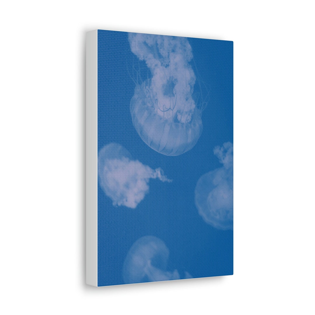 Jellyfish Wall Art Canvas Jellyfish Art Animal Art Canvas Etsy