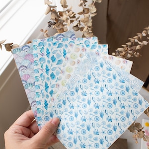 May include: A set of five sheets of decorative paper featuring a blue and white seashell pattern. The paper is perfect for scrapbooking, card making, and other craft projects.