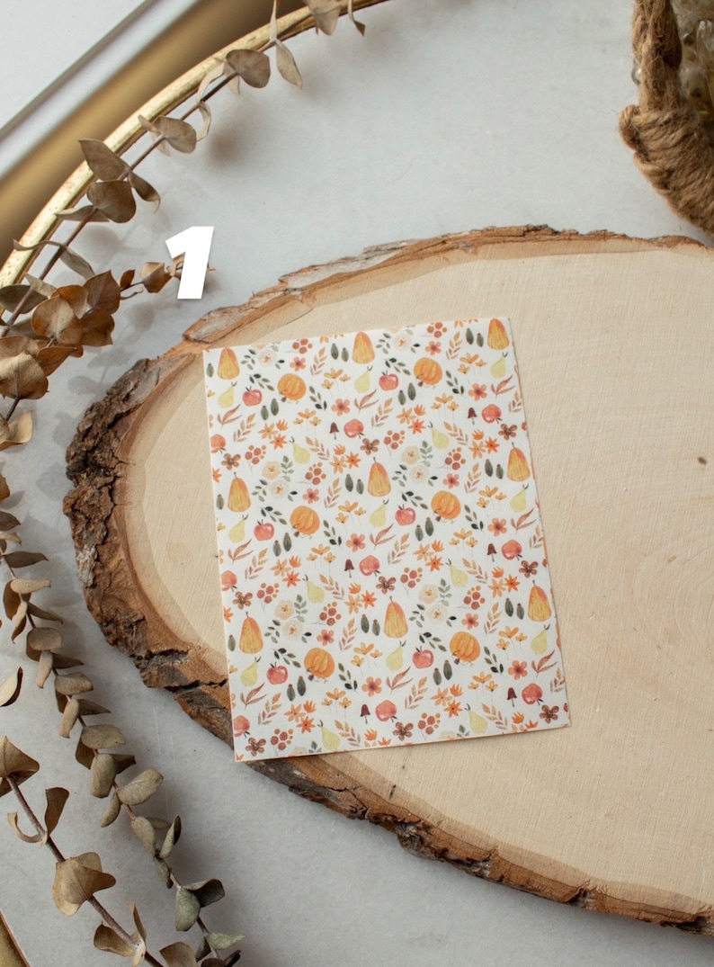 May include: A sheet of white paper with a repeating pattern of small orange pumpkins, green leaves, red apples, and yellow pears. The pattern is surrounded by a white border.