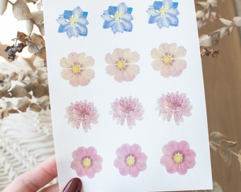 Fogli di trasferimento lavabili con fiori pressati / carta per trasferimento di argilla floreale, trasferimento di immagini in argilla, carta per trasferimento di argilla polimerica floreale
