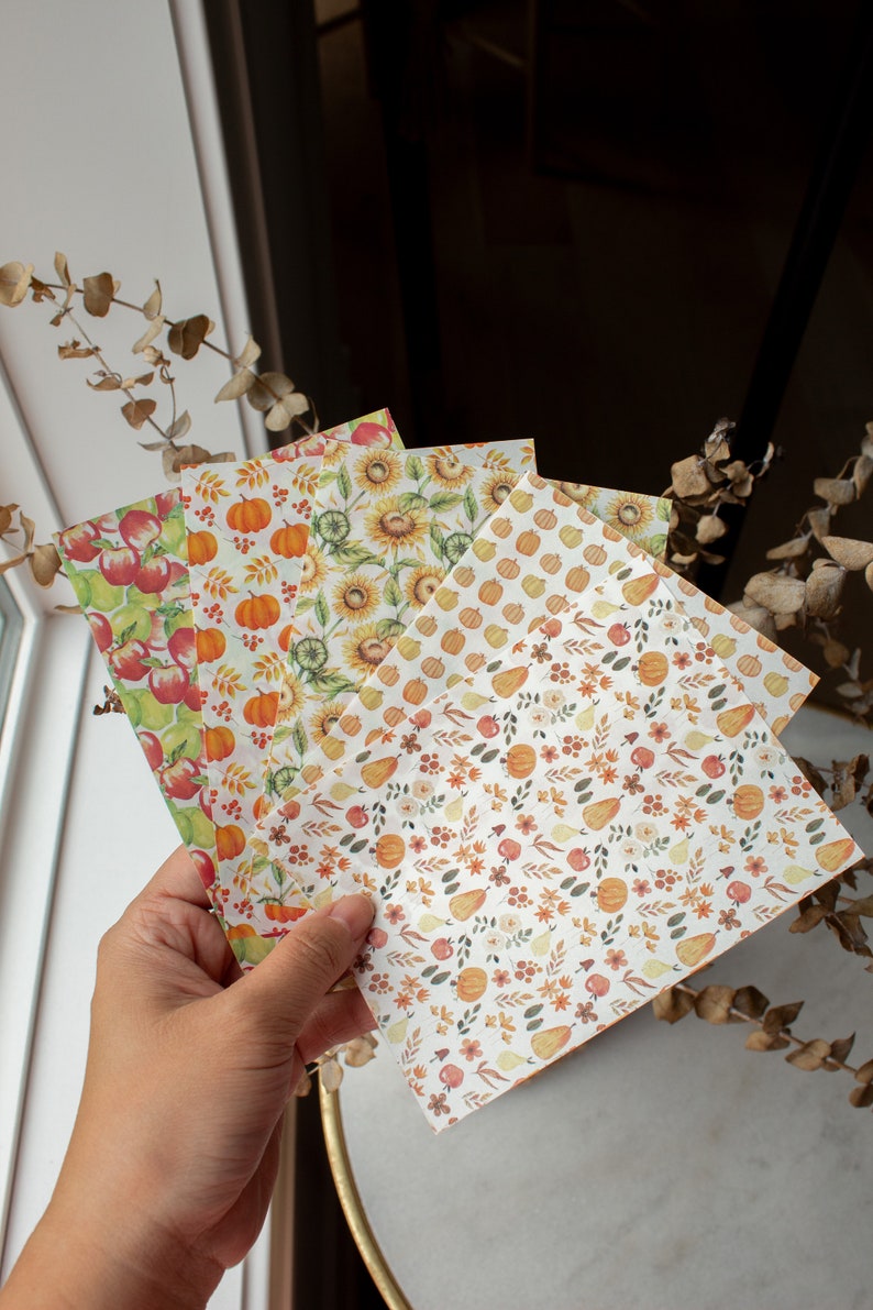 May include: A set of five decorative papers with autumnal themes. The papers feature different patterns, including pumpkins, sunflowers, apples, and pears. The papers are printed on a white background with a subtle texture.