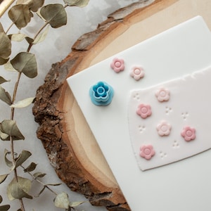 May include: A white fondant cake decorated with pink and blue fondant flowers. The cake is on a wooden slice and surrounded by dried eucalyptus leaves.