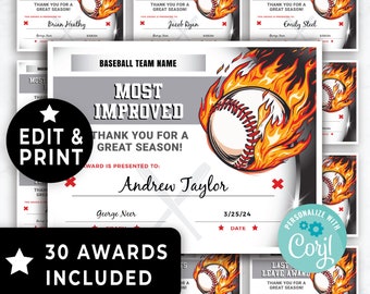 Baseball Awards Printable, End of Season/Year Baseball Team Award Certificates Editable Template, Sport Baseball Award Template Bundle 169HL