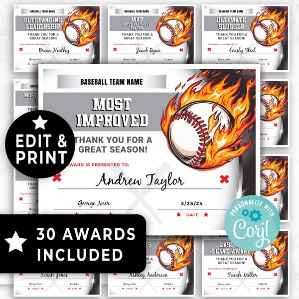 Baseball Awards druckbar, Saisonende / Jahresende Baseball Team Award Zertifikate bearbeitbare Vorlage, Sport Baseball Award Template Bundle 169HL