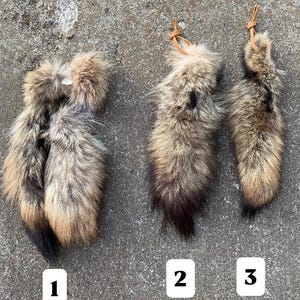 Coyote Tail Keychains