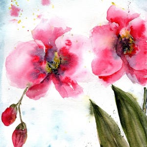 Pink Orchid, Original Watercolor Painting