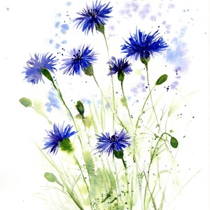 May include: Watercolor painting of blue wildflowers with green stems and leaves on a white background.