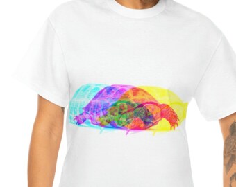 Tricolor Quirky Tortoise  Unisex Heavy Cotton TeeColorful Tortoise shirt, Russian, Hermann, Sulcata , Turtle lovers gift shirt