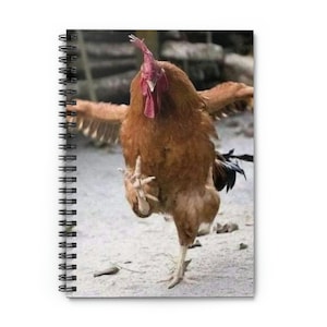 Puede incluir: Un gallo marrón con cresta y barbillas rojas se para sobre una sola pata y mira directamente a la cámara. El gallo está en posición agachada, como si fuera a correr. El fondo es una imagen borrosa de una zona cubierta de hierba.