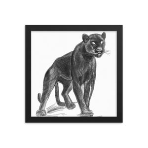 Black Panther/ Puma Pencil Sketch Wandkunst - Gerahmtes Fotopapier Poster