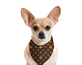 May include: A small, light brown Chihuahua dog wearing a brown bandana with a repeating pattern of gold paw prints and four-petal flower shapes. The dog has large, upright ears and is centered against a white background.