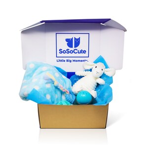 SoSoCute Blue Dog Gift Box - Puppy Chew Toy Set of 5