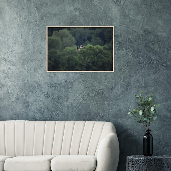 24"x36" - Wood Framed - 250 gsm Museum-Quality Matte Paper : Osprey Catching Sunfish on Wisconsin Lake