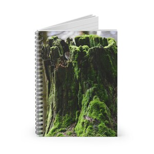 May include: A close-up of a moss-covered tree stump. The stump is weathered and grey, with green moss growing all over it.
