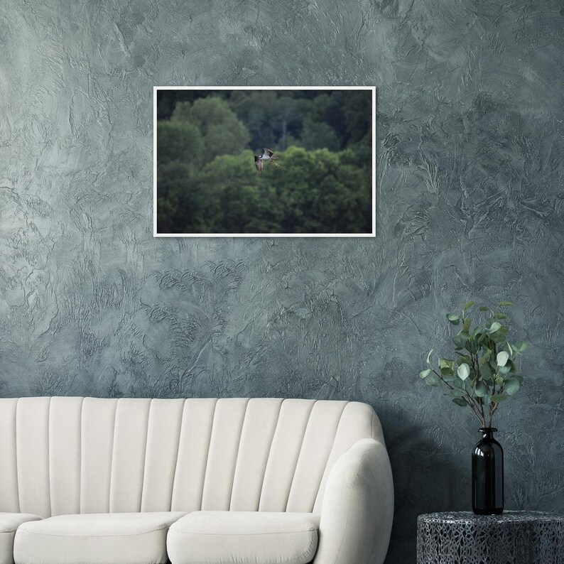 24"x36" - Wood Framed - 250 gsm Museum-Quality Matte Paper : Osprey Catching Sunfish on Wisconsin Lake White frame