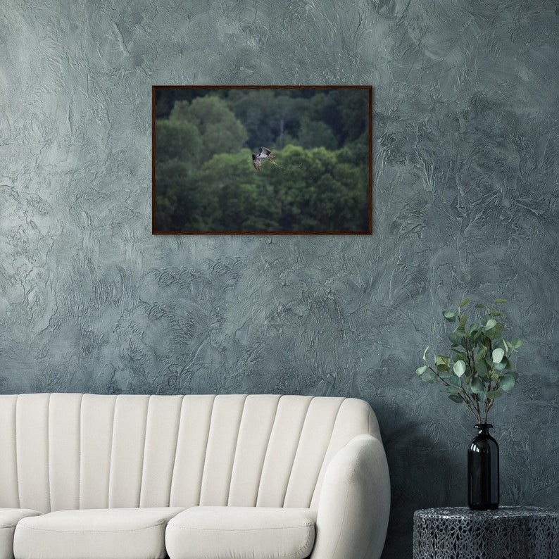 24"x36" - Wood Framed - 250 gsm Museum-Quality Matte Paper : Osprey Catching Sunfish on Wisconsin Lake Dark wood frame