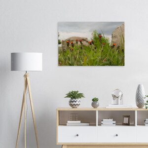 Premium 200gsm Matte Paper Poster : Flowers and  Rocks