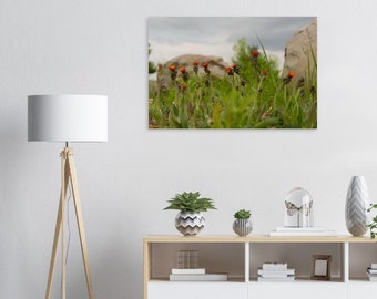 Premium 200gsm Matte Paper Poster : Flowers and  Rocks