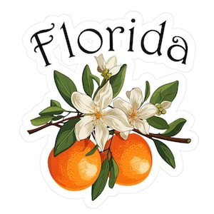 Sticker Florida State Flower oranjebloesem - perfecte vinylstickers voor elk oppervlak | Prachtig symbool van de natuurlijke schoonheid en trots van Florida