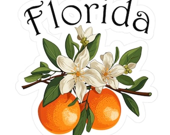 Sticker Florida State Flower oranjebloesem - perfecte vinylstickers voor elk oppervlak | Prachtig symbool van de natuurlijke schoonheid en trots van Florida