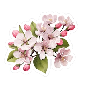 Op de afbeelding: Een tros van delicate roze en witte bloesems met groene bladeren. De bloemen zijn in een boeketvorm gerangschikt, met enkele knoppen die nog gesloten zijn.