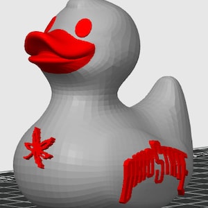 Ohio State Duck