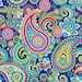 THE PREPPY PAISLEY LLC