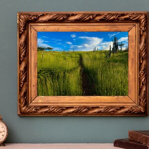 Mountain Meadow Framed Wall Art Canvas, Acrylic, Fine Art Print and Metal Options.
