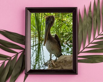 Pelican Pond Canvas Wall Art with Acrylic, Fine Art Print, Framing and Metal Options