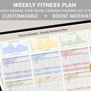 Weekly Workout Planner Spreadsheet, Weekly Fitness Planner, Digital Fitness Tracker, Weight Loss, Exercise Template for Coaches, Wellness image 8