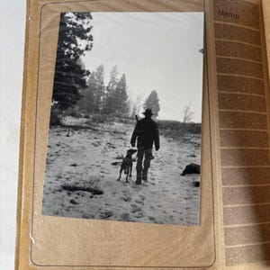 German Shorthaired Pointer 1970s Mark Fisher Buckeye Photo Album 98 Photos Dogs Hunting Dog Sporting Breeder Archive Collection