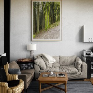 Printable Bright Green Tree in British forest photo, digital download.