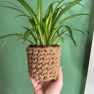 May include: A green spider plant in a brown crocheted pot.