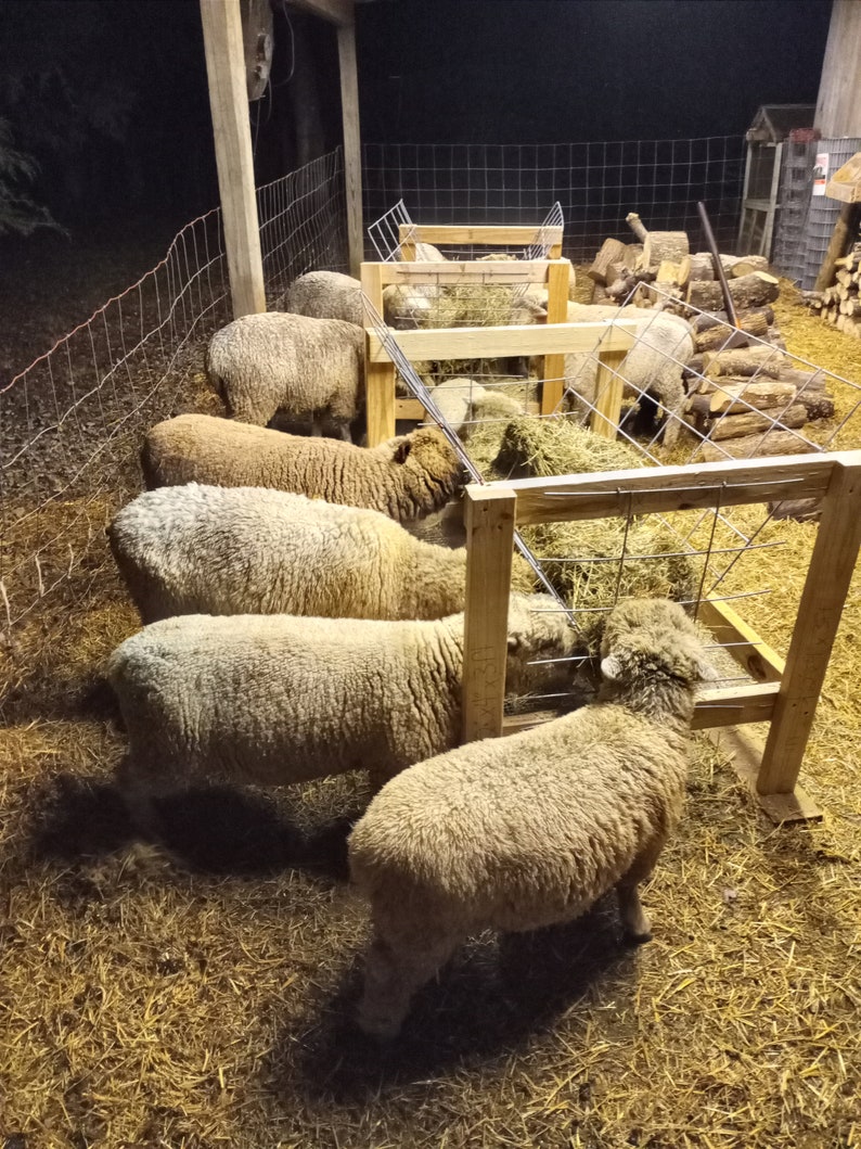 High Efficiency Sheep and Goat Hay Feeder Plans and Instructions image 2