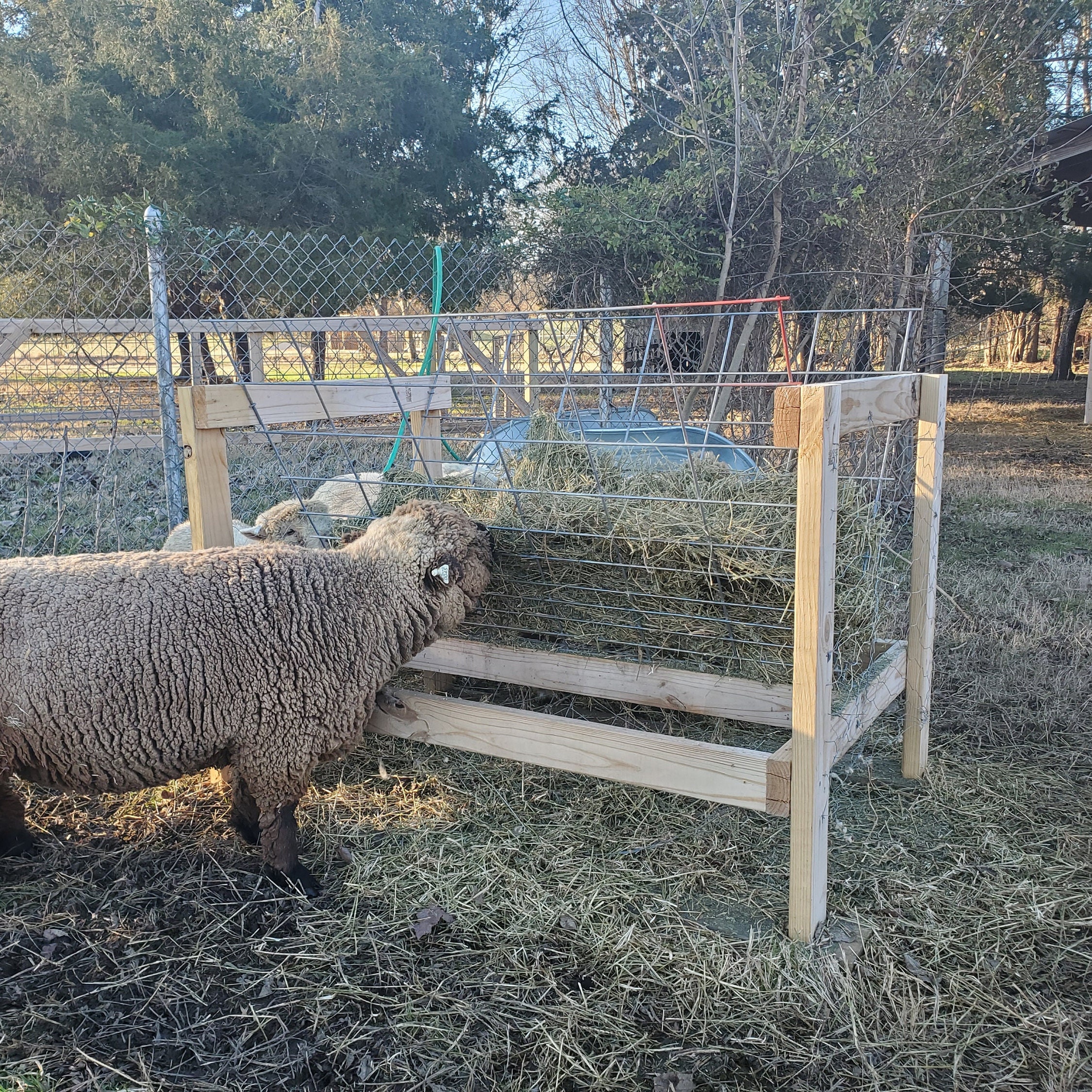 Plans and Instructions for Building a High Efficiency Sheep and Goat