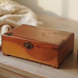 May include: A rectangular wooden box with a hinged lid and a decorative metal clasp. The box is made of reddish-brown wood and sits on small feet. A small succulent plant in a white pot is visible in the background.