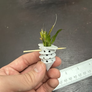 Aquarium Plant Anchor - 1.5 IN (4 Pack)