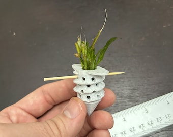 3D Printed Aquarium Plant Anchor | Fish Tank Plant Weight | Aquarium Accessories | Betta & Shrimp Tank (10 Pack)