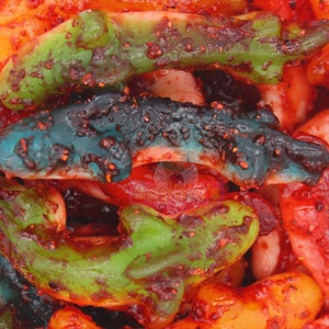 Chamoy Gummy Sharks - Dulces Enchilados - Classic Flavor - Chamoy Candy without Tajin