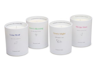 Set of Four Scented Soy Wax Candle | Candles with Floral and Creamy Scents | 8 oz Glass Jar | Citrus fragrance Candle | Premium Candle Gift