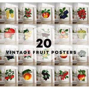 Fruit Print Set of 20 Digital Download | Vegetable Posters | Vintage Fruit Art | Antique Fruit Poster Kitchen Art Prints | Vegetable species