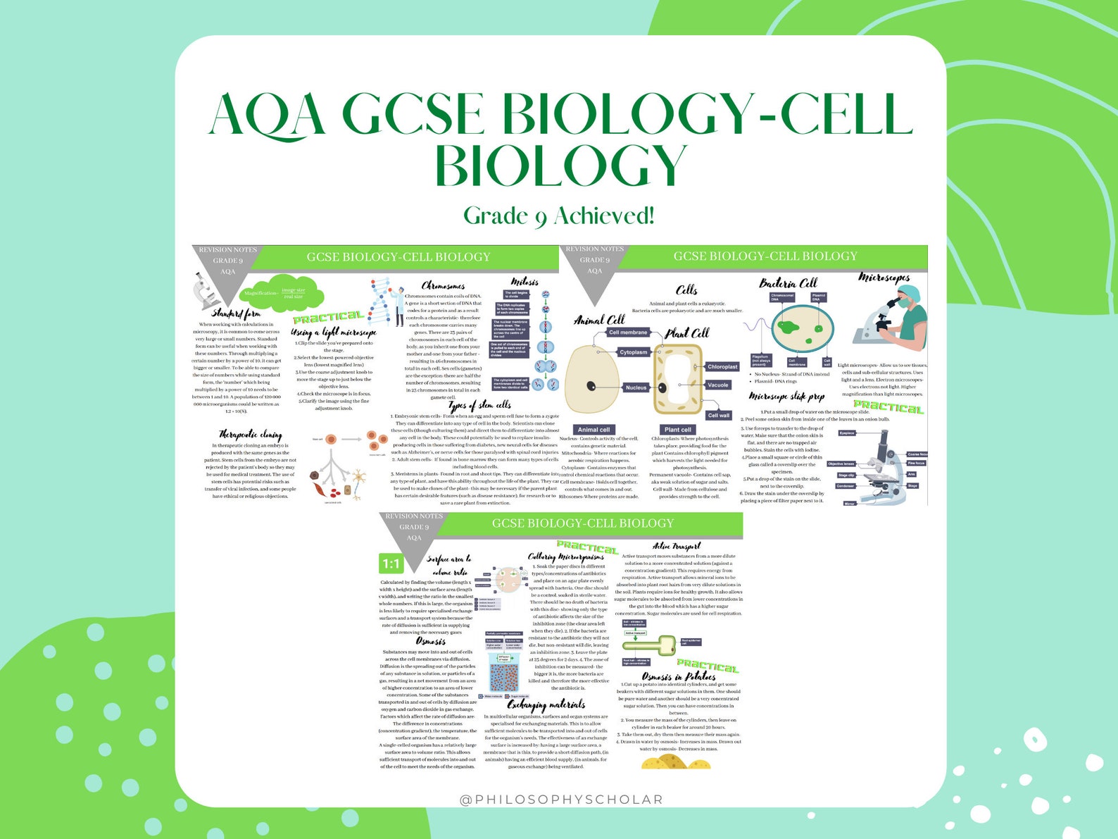 Free Sample-gcse BIOLOGY AQA Revision Notes Cell Biology-grade 9 ...