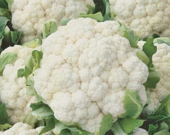10 seeds) cauliflower snowball y improved vegetable garden non-gmo usa free s&h