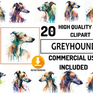 20 Greyhound Dog Clipart JPG Bundle, uso commerciale completo, grafica per baby shower carina, acquerello, arte della parete dell'arredamento della scuola materna, design della sublimazione