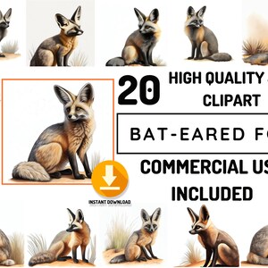 Nietoperzowy lis Clipart 20 Wysokiej Jakości Safari Animals JPG Bundle, Pełna Reklama, Safari Animals art, Dekoracja artystyczna, Afrykańska ilustracja zwierząt