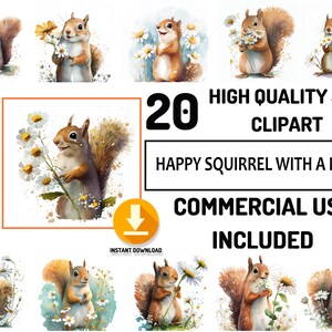 20 écureuils heureux avec un ensemble JPG clipart de marguerite, utilisation commerciale complète, graphiques de douche de bébé mignons, aquarelle, décoration de chambre d’enfant Art mural