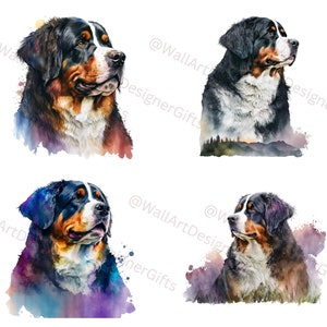 Berner Sennenhund Aquarell Clipart, Berner Berg 4 Hochwertige PNG, druckbarer digitaler Download, Sublimation, Kartenherstellung