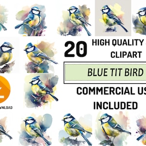 Blue tit Bird Clipart - 20 JPG de haute qualité, utilisation commerciale complète, artisanat en papier numérique, aquarelle, fabrication de cartes de vœux, papier d’emballage