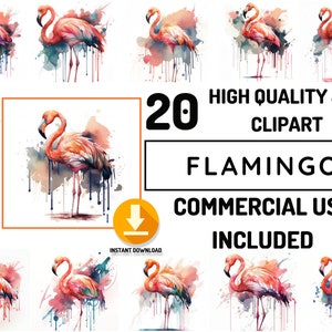 Flamingo Clipart 20 High Quality Safari Animals JPG Bundle, Full Commercial Use, Safari Animals art, Decor art, Africa animals illustration